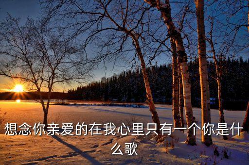 想念你亲爱的在我心里只有一个你是什么歌