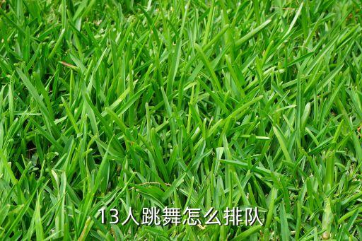 13人跳舞怎么排队