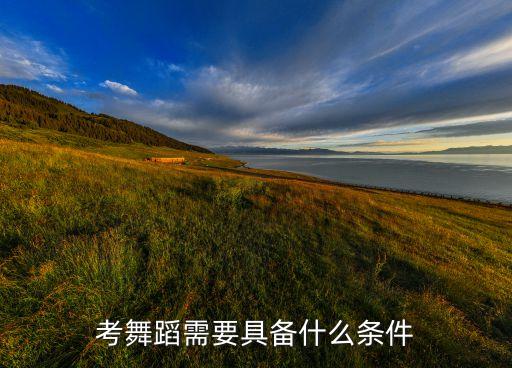 考舞蹈证书的基本条件，舞蹈艺考对外在比如视力皮肤身高等有什么要求吗