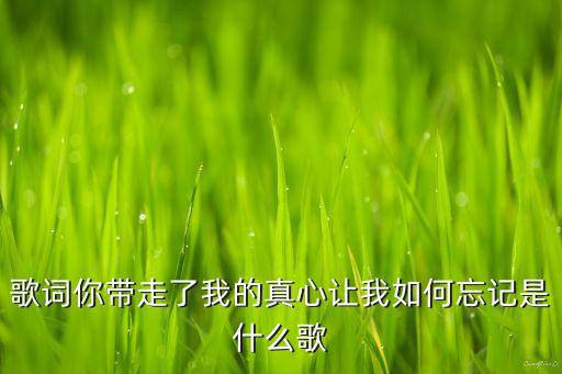 歌词你带走了我的真心让我如何忘记是什么歌