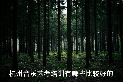杭州十大音乐培训机构，杭州哪里有没有什么好点的音乐机构