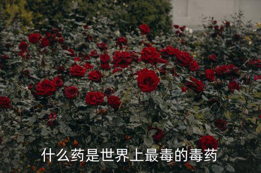 什么药是世界上最毒的毒药