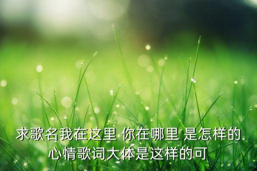 求歌名我在这里 你在哪里 是怎样的心情歌词大体是这样的可