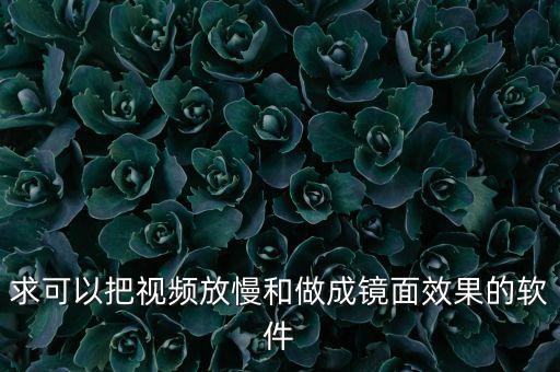 求可以把视频放慢和做成镜面效果的软件