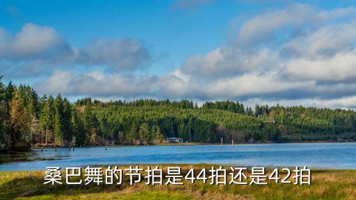 桑巴舞的节拍是44拍还是42拍