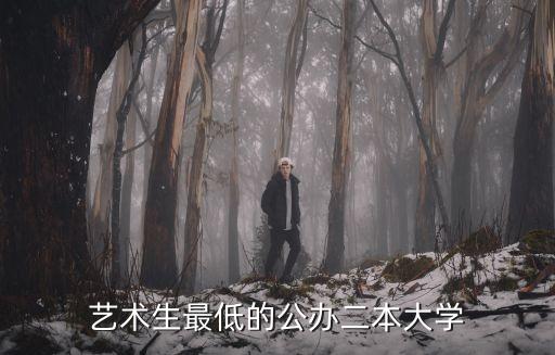 艺术生最低的公办二本大学