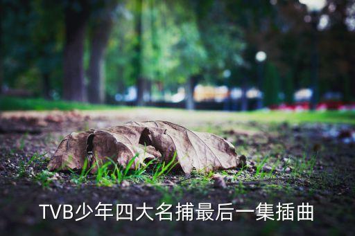 小王子水兵舞是什么歌，快乐星球的插曲小小少年的歌词哪里有下载