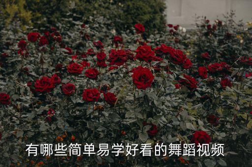 有哪些简单易学好看的舞蹈视频