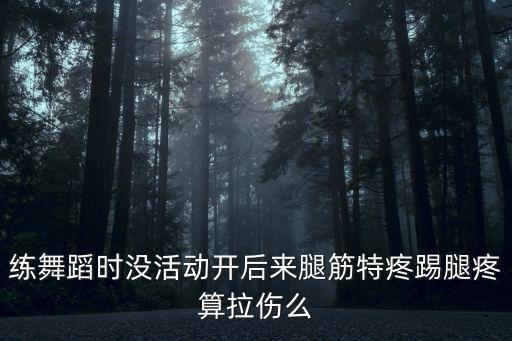 练舞蹈时没活动开后来腿筋特疼踢腿疼算拉伤么