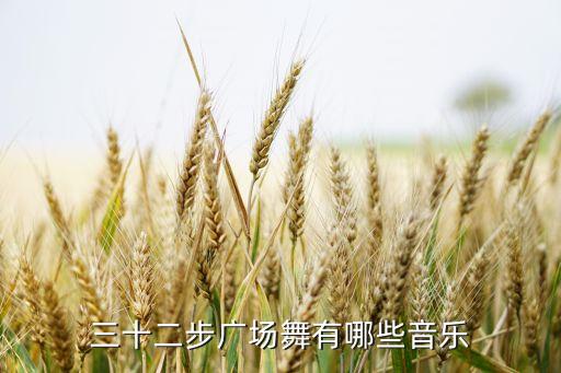 三十二步广场舞有哪些音乐