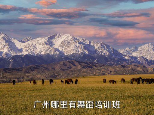 广州哪里有舞蹈培训班