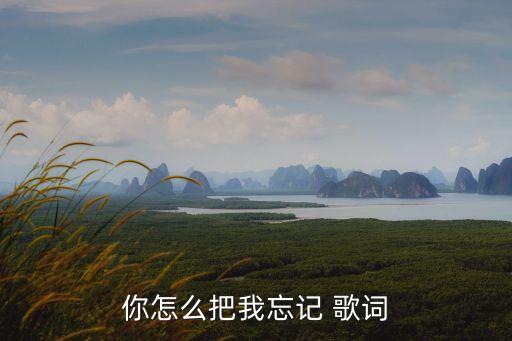 你怎么把我忘记 歌词