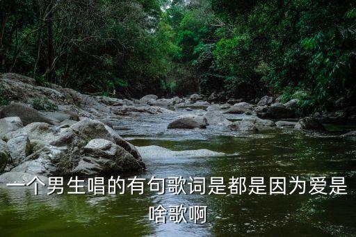 那都是因为爱是什么歌，那是有时也疯狂那是因为爱一个女生唱的求歌名
