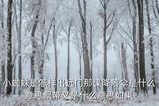 上小课是什么意思是什么，小蜘蛛是怎样出远门那课降落伞是什么意思飘带又是什么意思如果