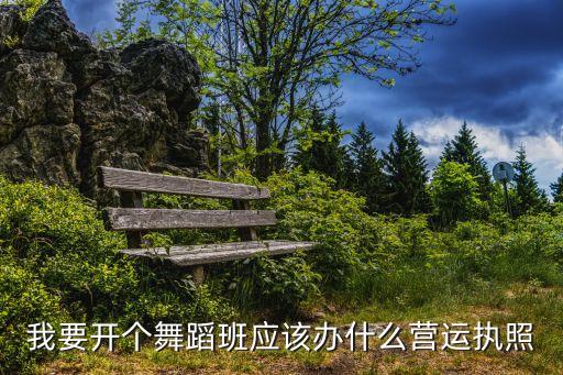 舞蹈班培训机构工商营业执照，我要开个舞蹈班应该办什么营运执照