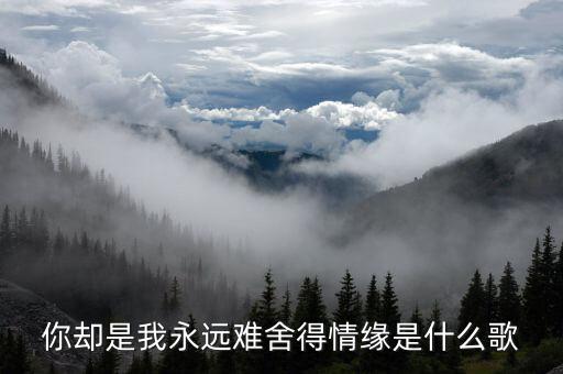 你却是我永远难舍得情缘是什么歌