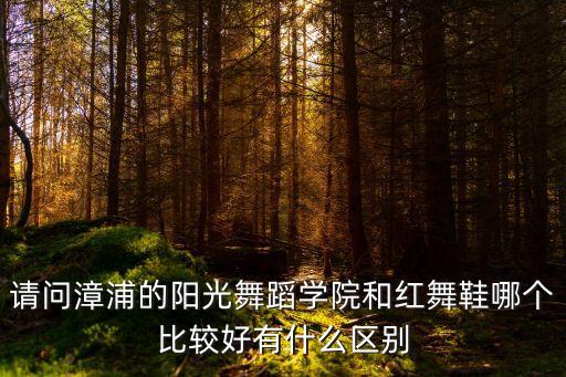 北京红舞鞋舞蹈怎么样，红舞鞋舞蹈艺术中心怎么样