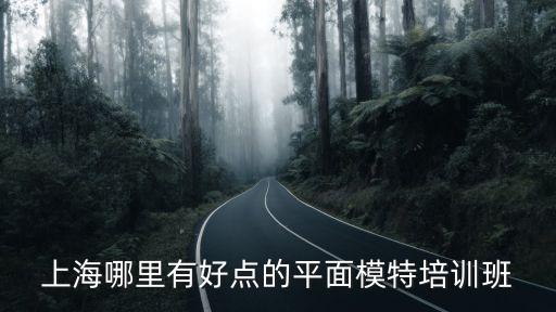 上海哪里有好点的平面模特培训班