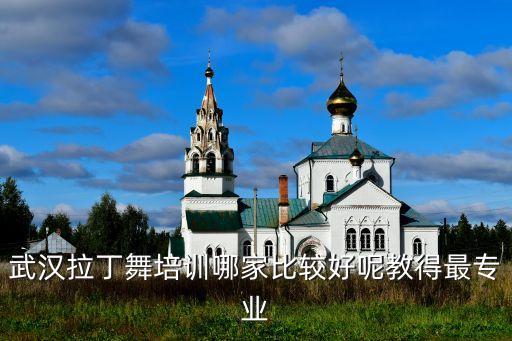 武汉专业的拉丁舞学校有哪些，武汉哪里有专业学习拉丁舞的地方