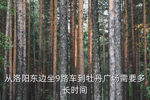 从洛阳东边坐9路车到牡丹广场需要多长时间