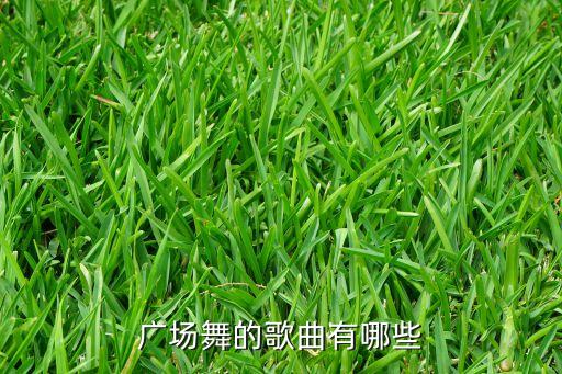 广场舞的歌曲有哪些