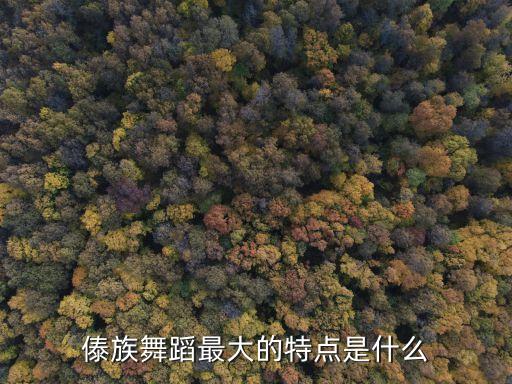 傣族舞蹈最大的特点是什么