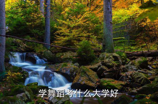 学舞蹈考什么大学好