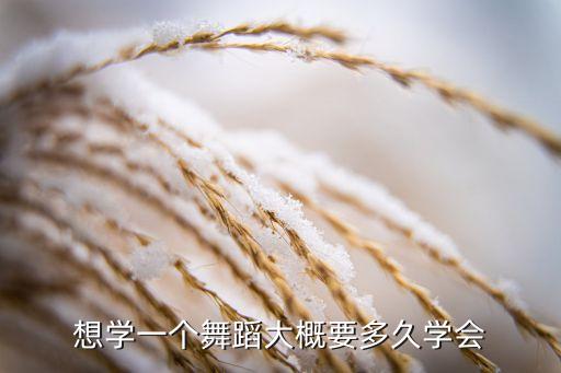 孩子学舞蹈要学多久，想学一个舞蹈大概要多久学会