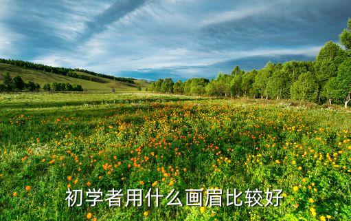 初学者用什么画眉比较好