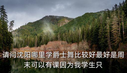 请问沈阳哪里学爵士舞比较好最好是周末可以有课因为我学生只