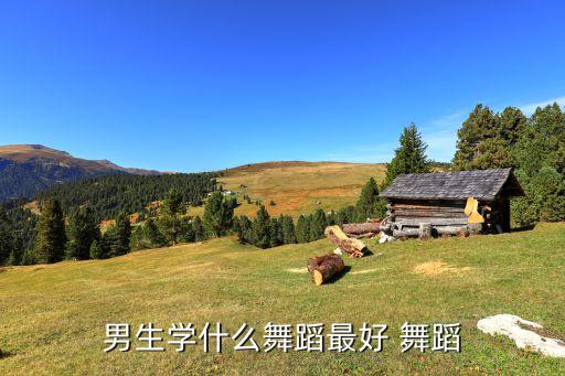 男生学什么舞蹈最好 舞蹈