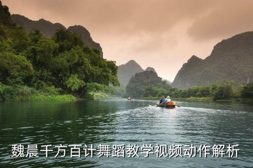 魏晨千方百计舞蹈教学视频动作解析
