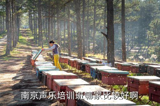 南京声乐培训班哪家比较好啊