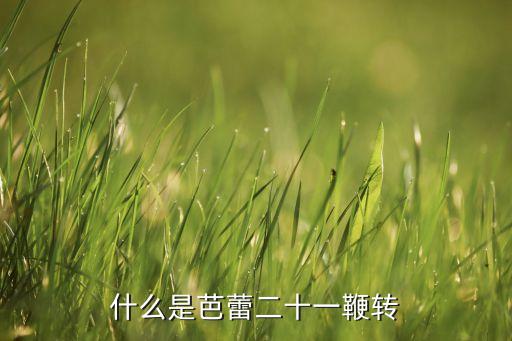 什么是芭蕾二十一鞭转