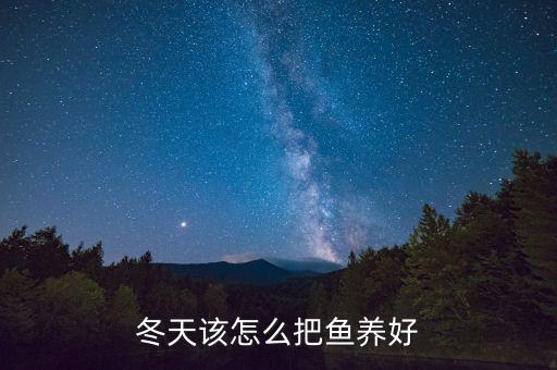 冬天该怎么把鱼养好