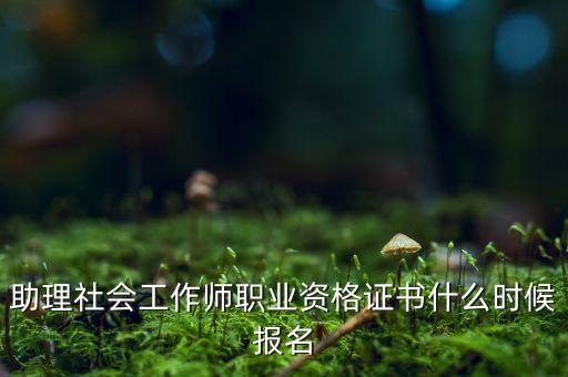 助理社会工作师职业资格证书什么时候报名
