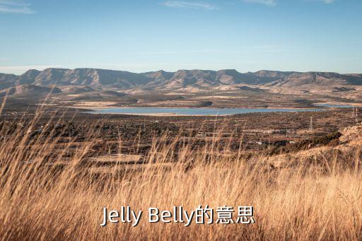甜甜的糖豆美术怎么讲，教案活动形式怎么写