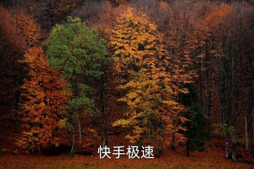 快手极速