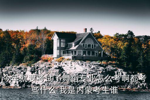 今年就要考试了舞蹈专业怎么考啊都考些什么 我是内蒙考生谁