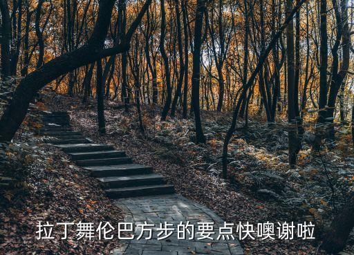 拉丁舞伦巴方步的要点快噢谢啦