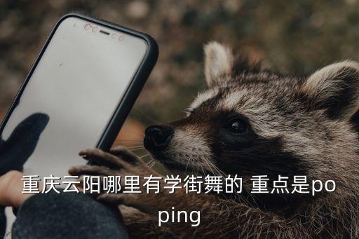 重庆云阳哪里有学街舞的 重点是poping