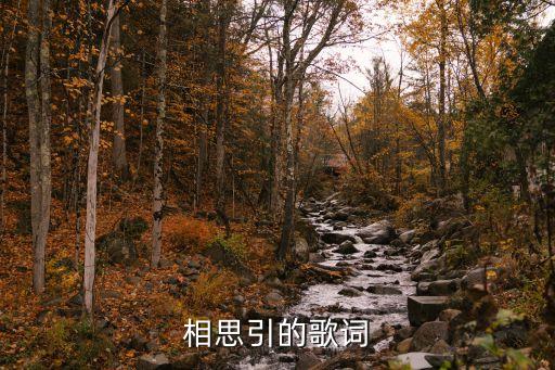 这一生不负什么不负你 歌词，相思引的歌词