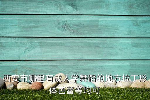 西安市哪里有成人学舞蹈的地方拉丁形体芭蕾等均可
