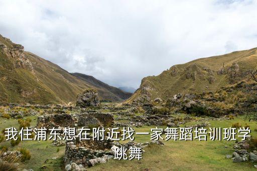 我住浦东想在附近找一家舞蹈培训班学跳舞