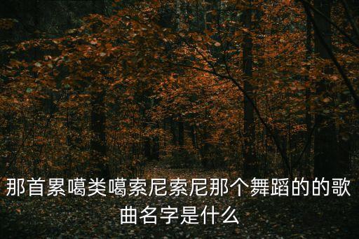 最累的舞蹈是什么歌曲，那首累噶类噶索尼索尼那个舞蹈的的歌曲名字是什么