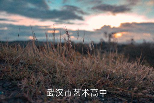 武汉艺术类高中，武汉有那些艺术高中