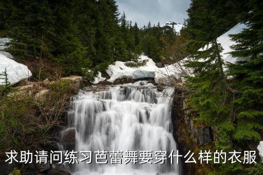 求助请问练习芭蕾舞要穿什么样的衣服