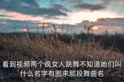 看到视频两个疯女人跳舞不知道她们叫什么名字有图求那段舞曲名