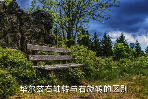 华尔兹右轴转与右旋转的区别