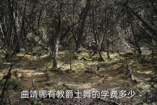曲靖哪有教爵士舞的学费多少